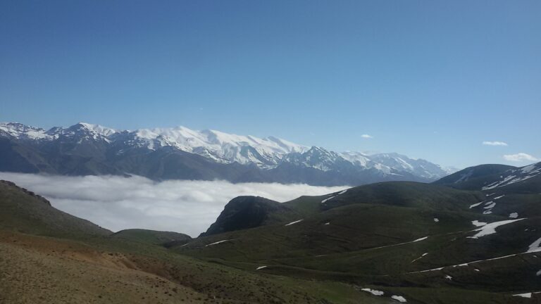 amirnan (5)