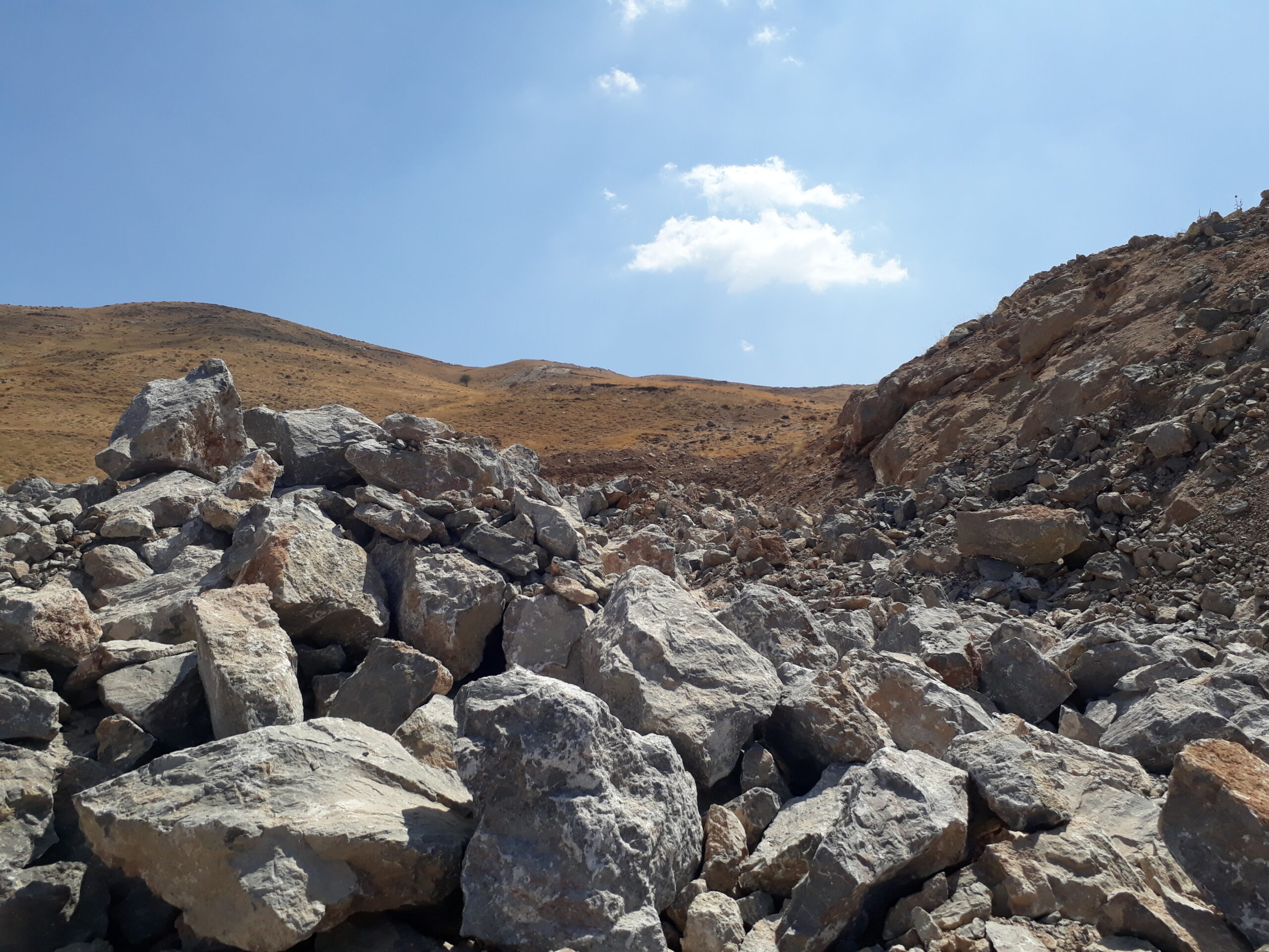 tikhor (16)