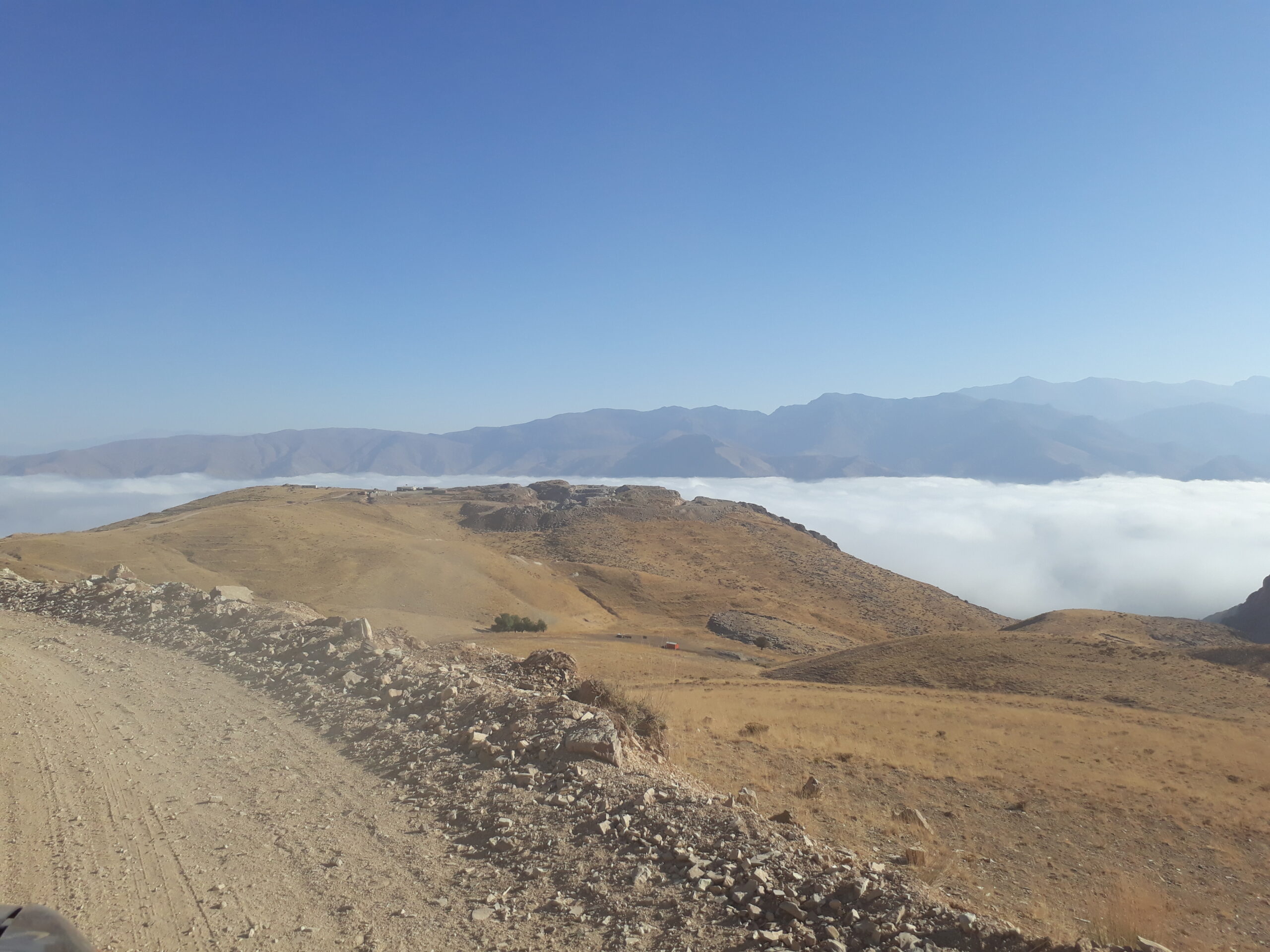 tikhor (2)