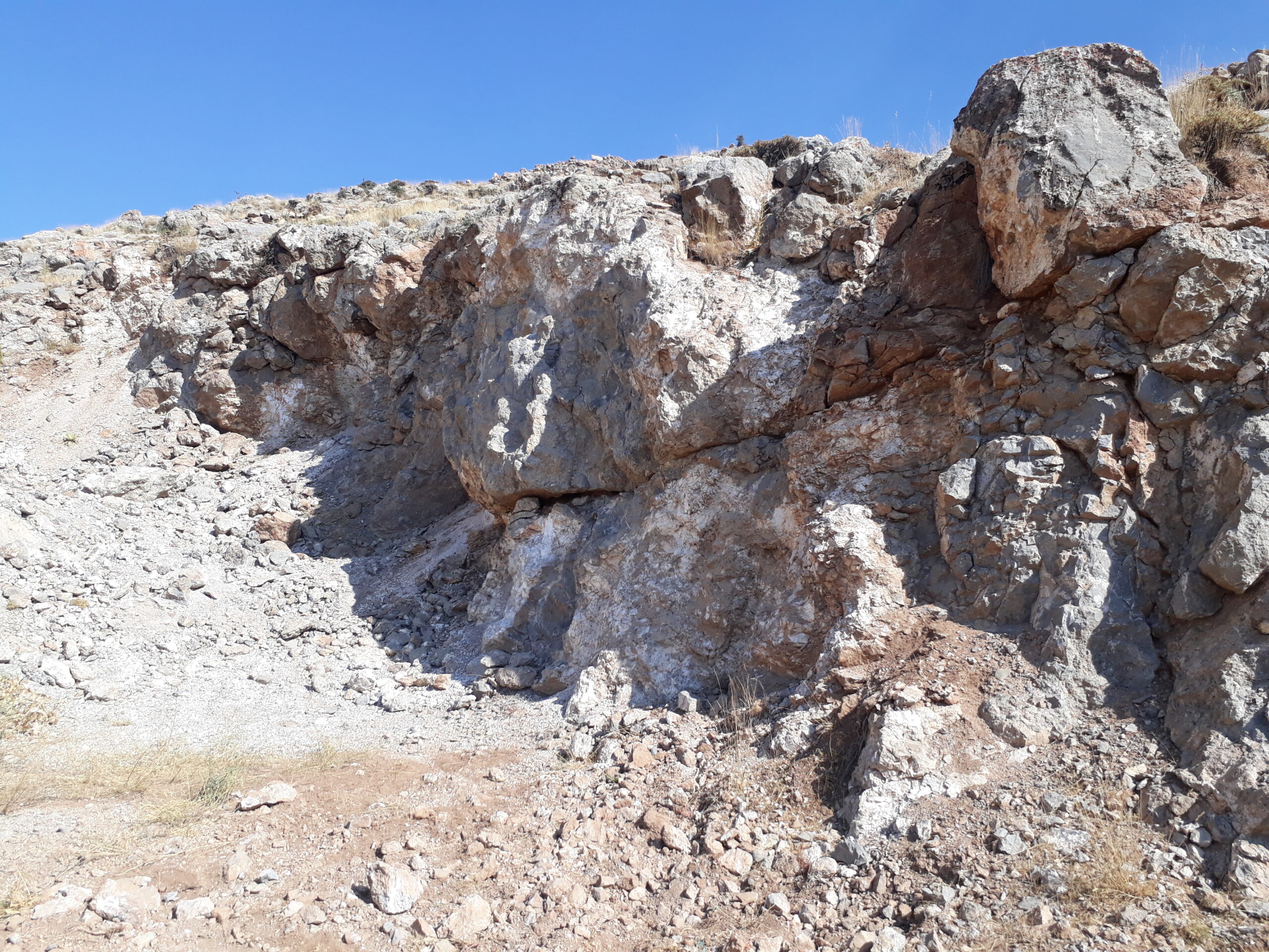 tikhor (34)