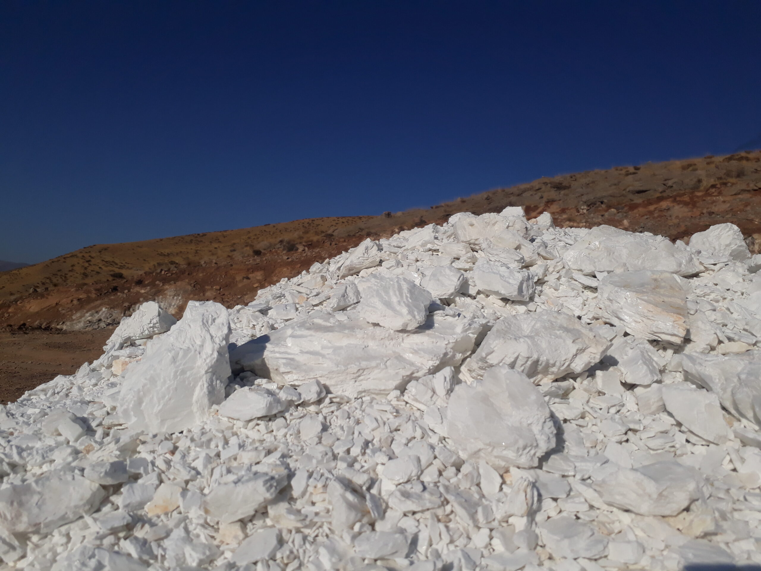 tikhor (59)