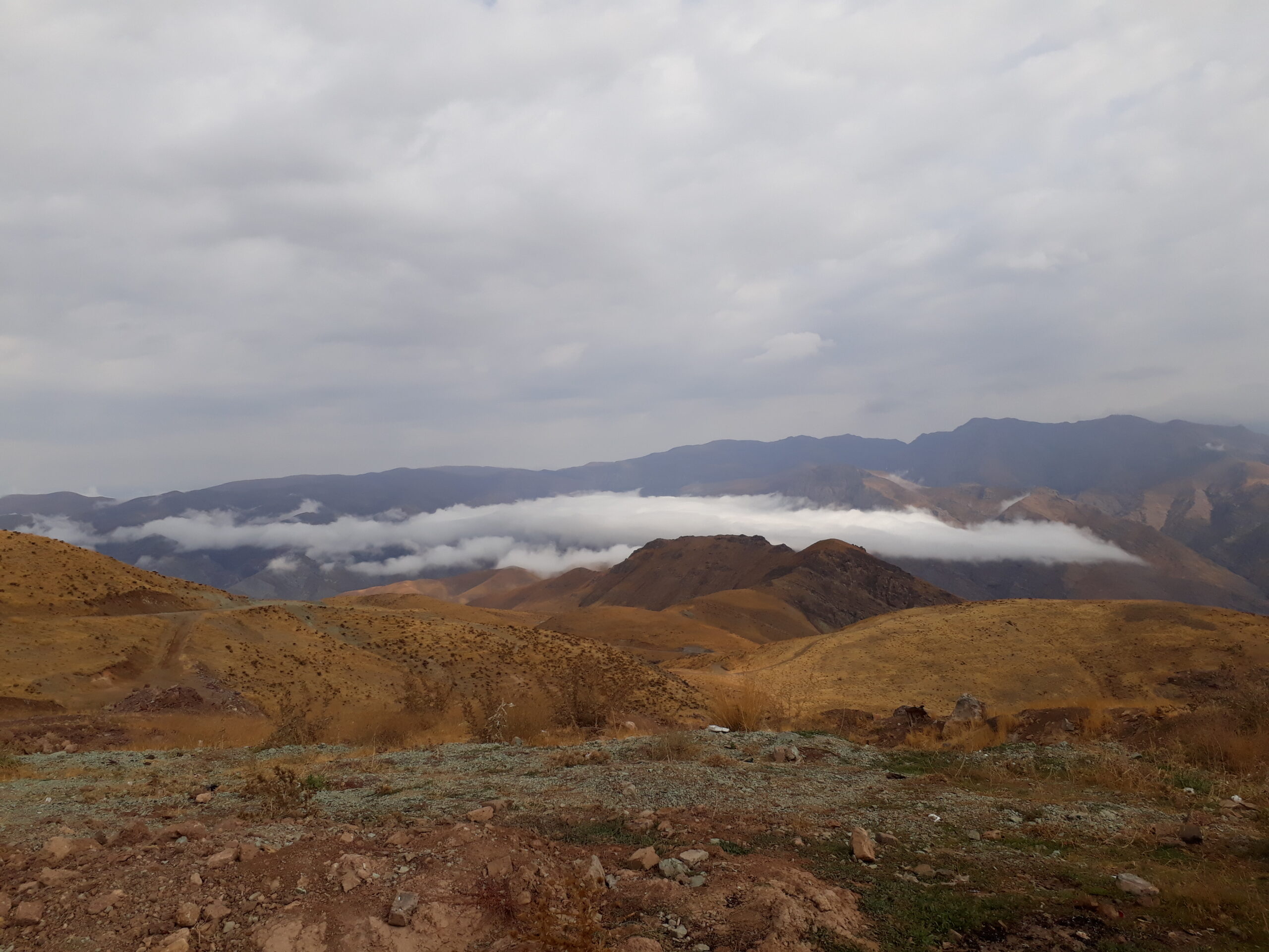 tikhor (63)